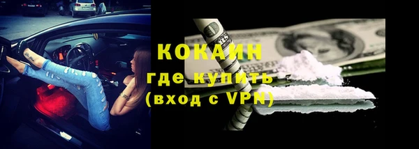сатива Нефтекумск