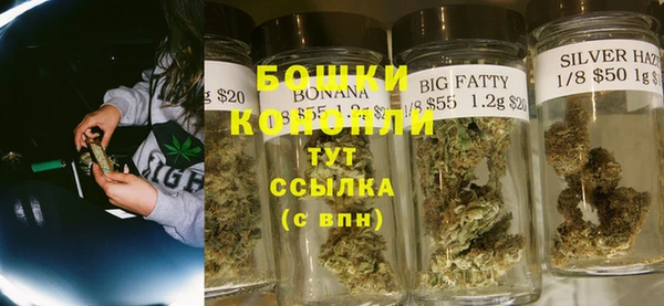 индика Нея