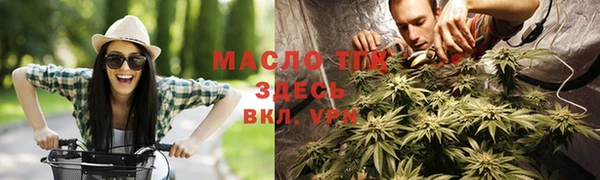 индика Нея