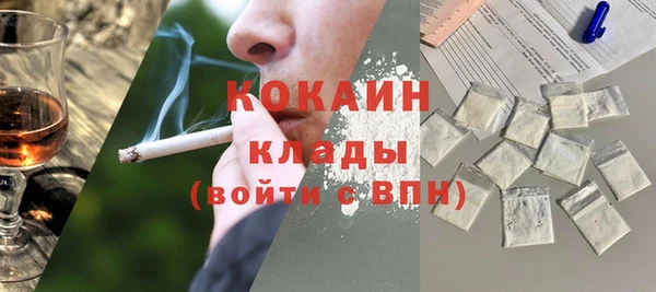 индика Нея