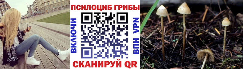купить   Белебей  KRAKEN маркетплейс  Галлюциногенные грибы Magic Shrooms 