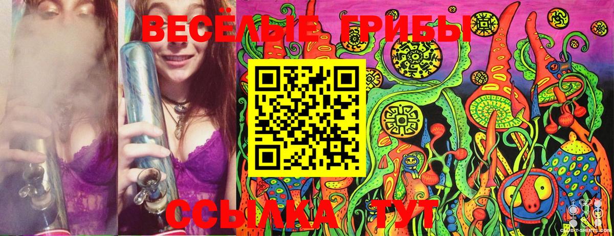 купить  сайты  Вход с VPN  Псилоцибиновые грибы MAGIC MUSHROOMS  Белебей  Псилоцибиновые грибы Psilocybine cubensis 